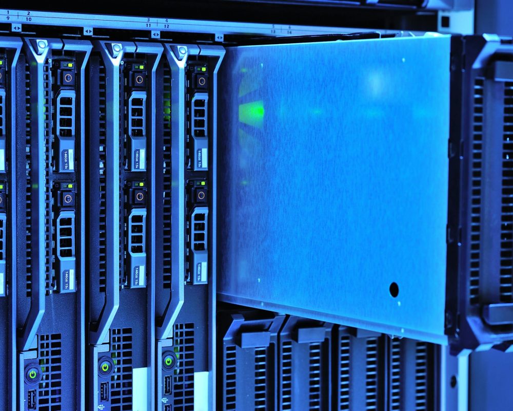 pexels cookiecutter 17489153