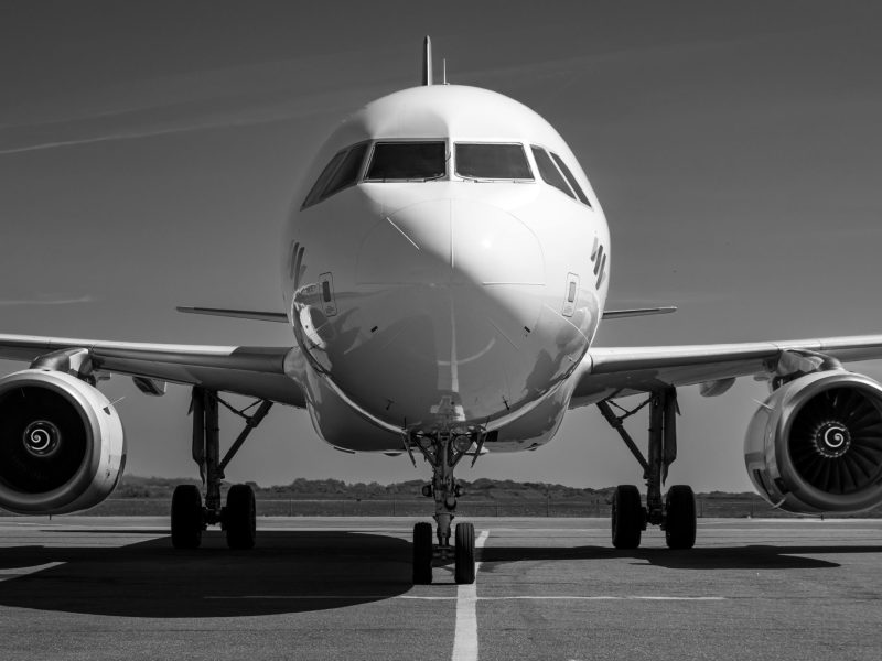 pexels joerg mangelsen 337913024 30358365